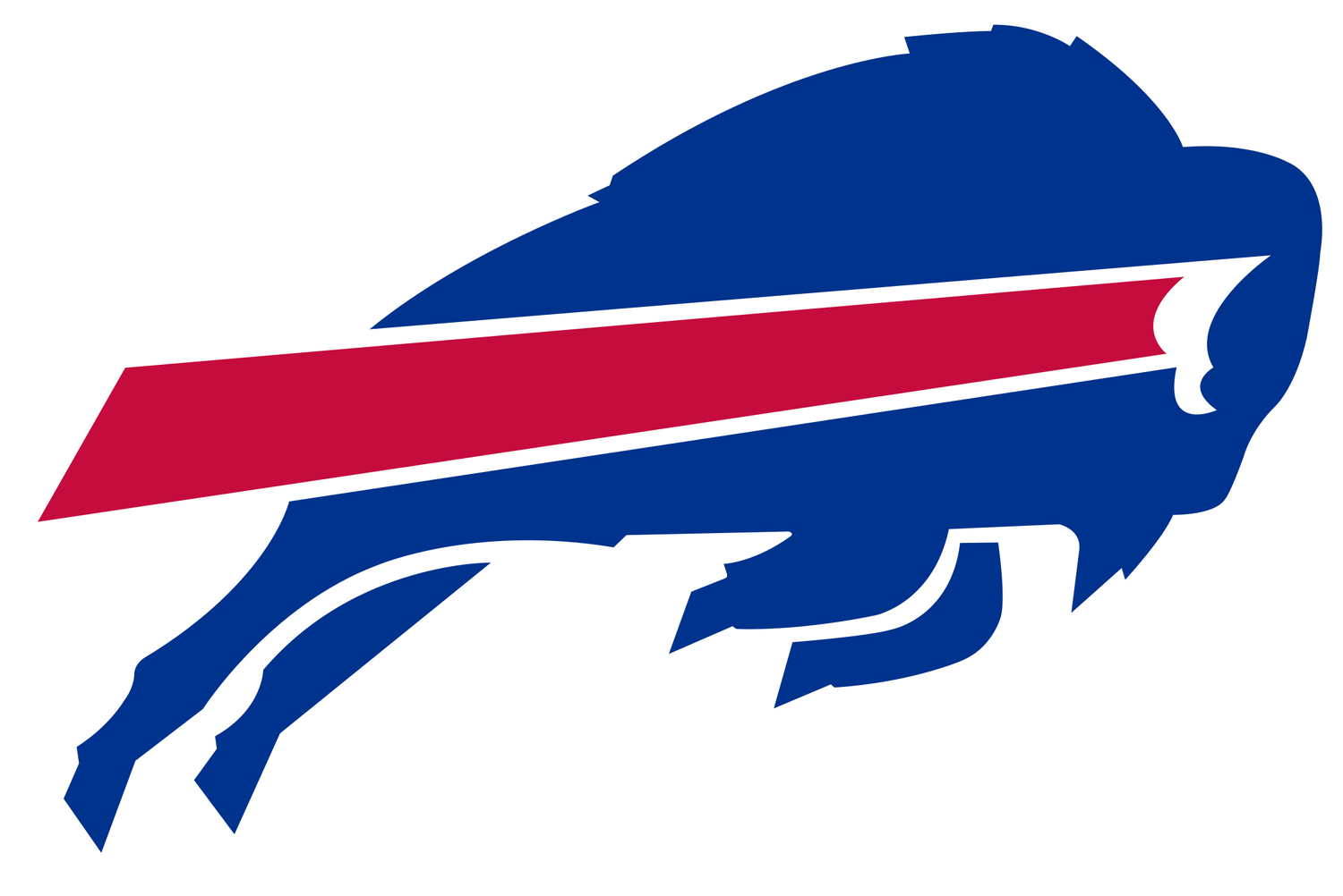 Buffalo Bills