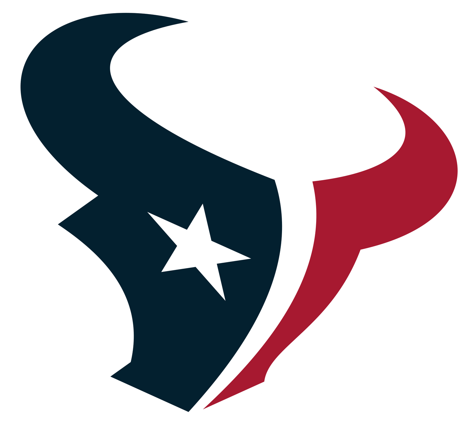 Houston Texans